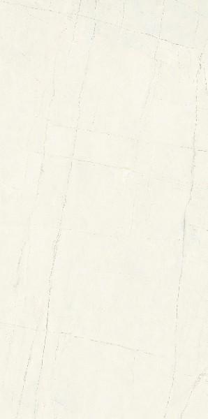 维纳斯白